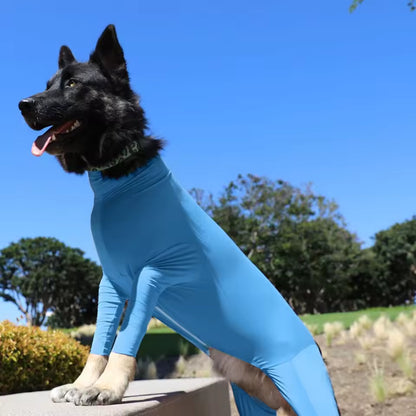 PeloGuard